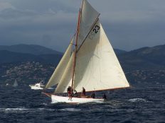 [Immagine: 200932382421_100_0488a.jpg]